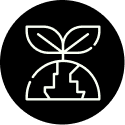 Sustainability